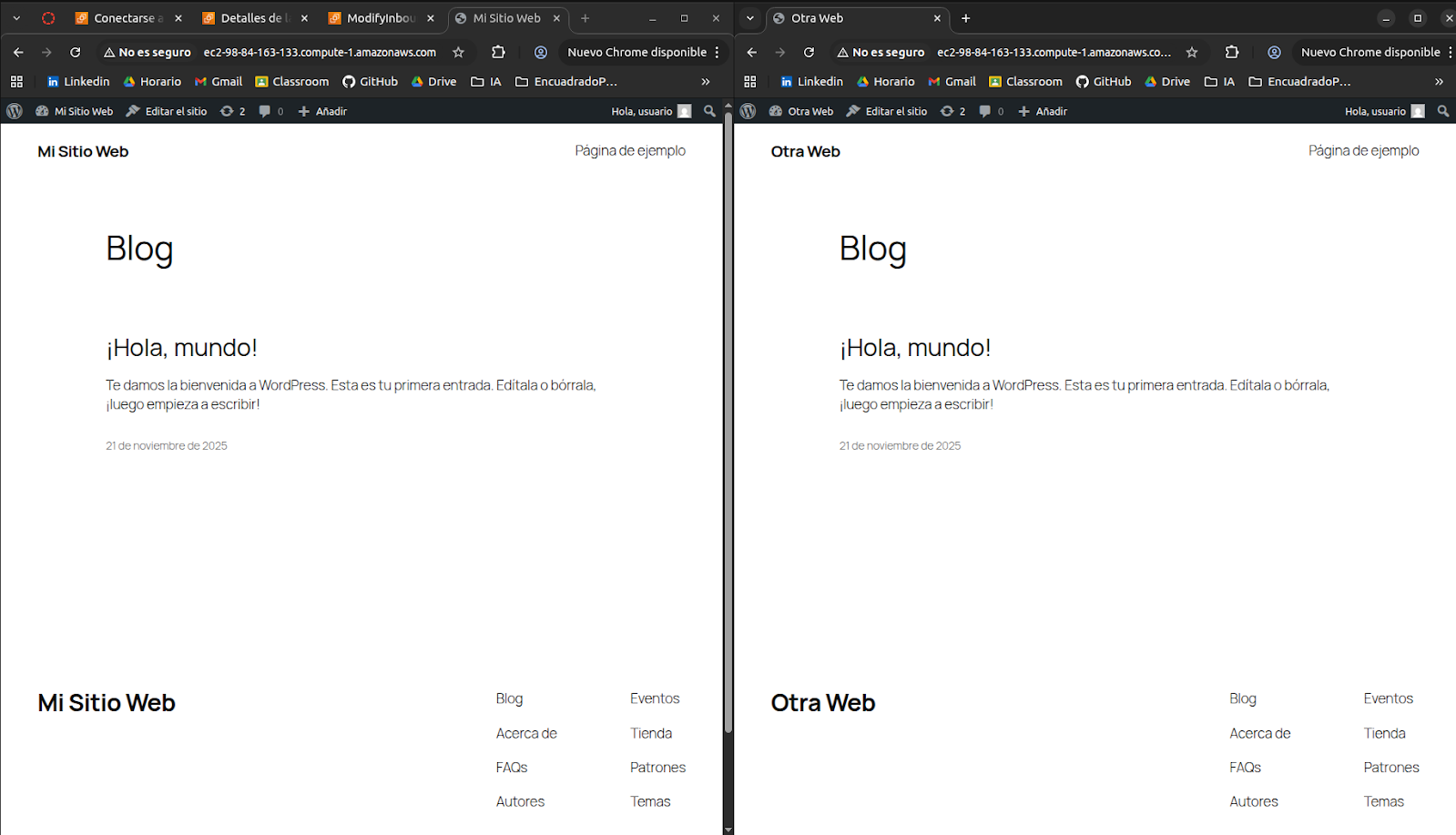 Muestra de dos WordPress funcionando simultáneamente